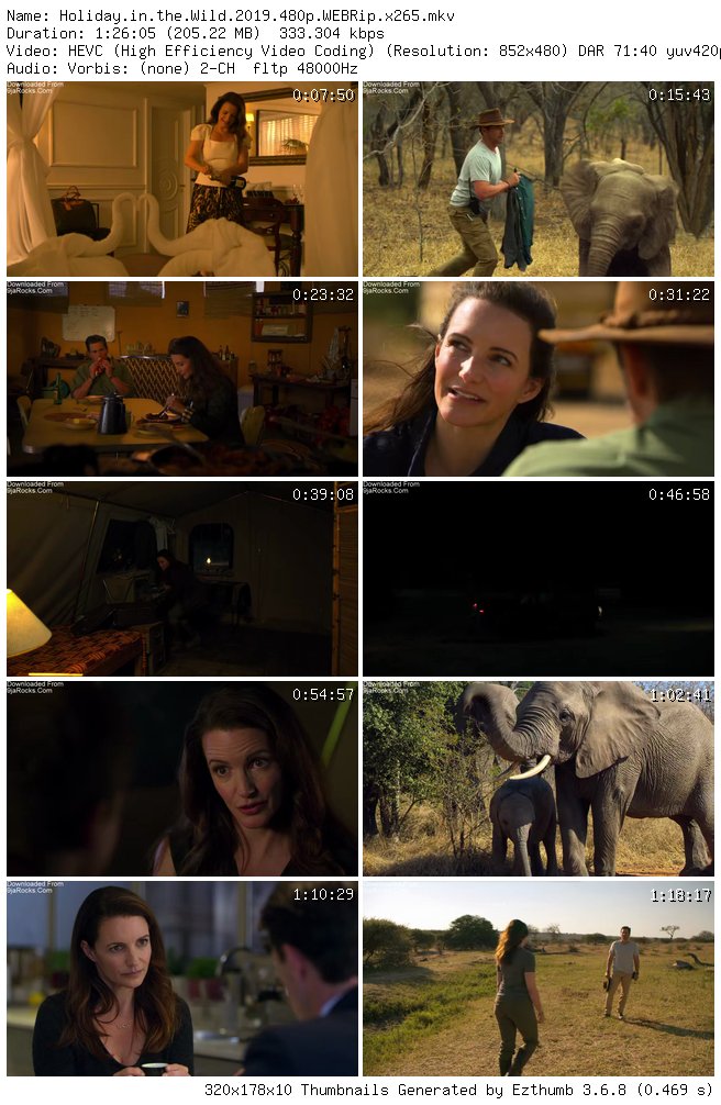 Christmas in the Wild (2019)