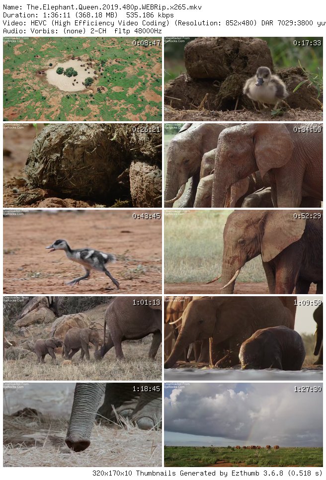 The Elephant Queen (2019)