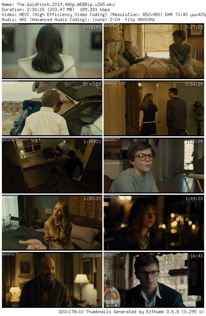 The Goldfinch (2019)