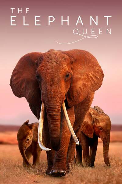 The Elephant Queen (2019) The Elephant Queen (2019)