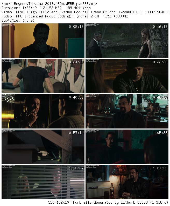 Beyond the Law (2019)