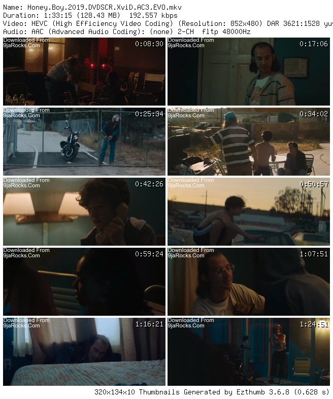 Honey Boy (2019)