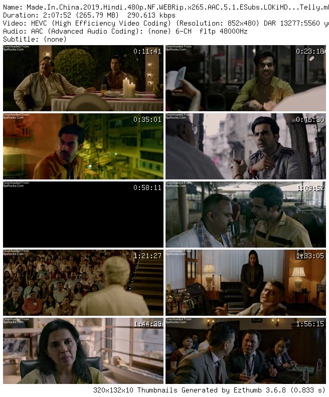 Made In China (2019) - Bollywood Movie
