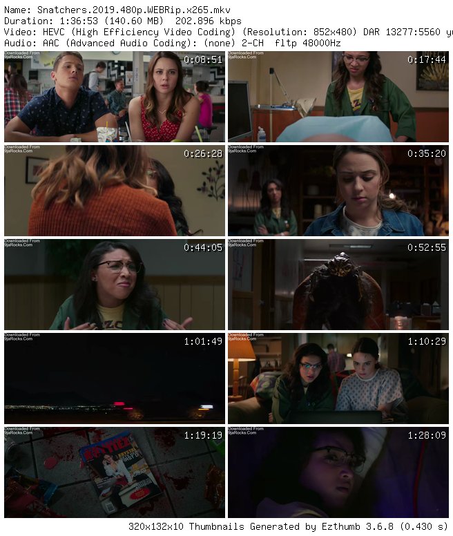 Snatchers (2019)