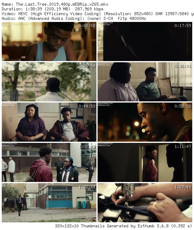 The Last Tree (2019)
