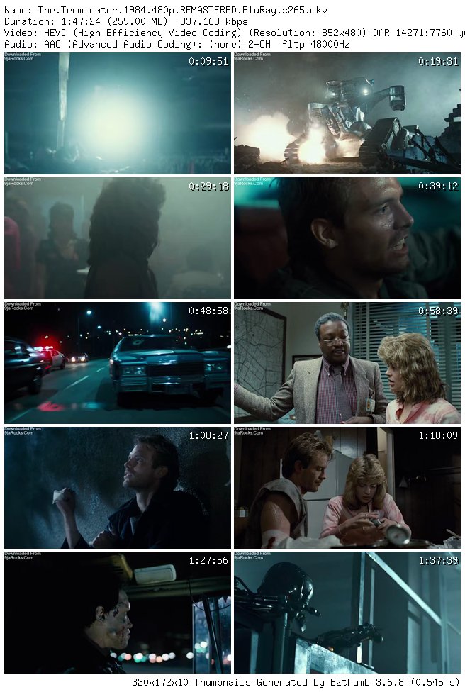 The Terminator (1984)