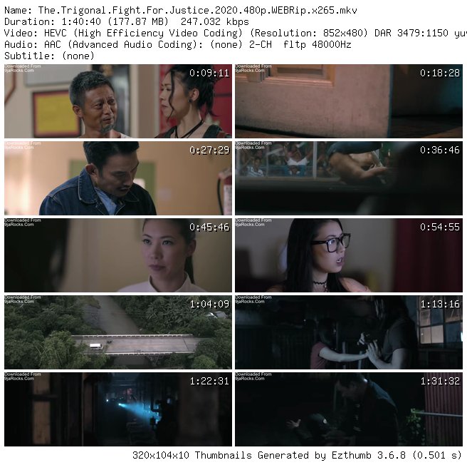 The Trigonal: Fight for Justice (2018)