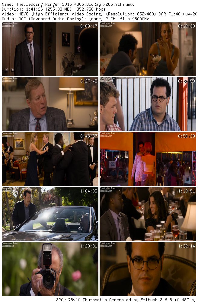 The Wedding Ringer (2015)