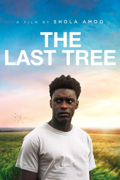 The Last Tree (2019) The Last Tree (2019)
