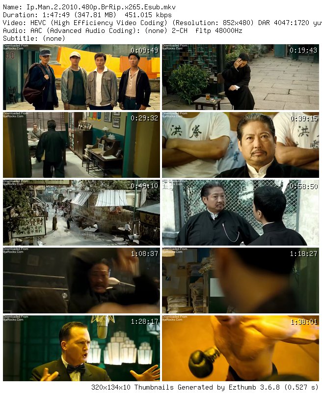 Ip Man 2 (2010) - Chinese