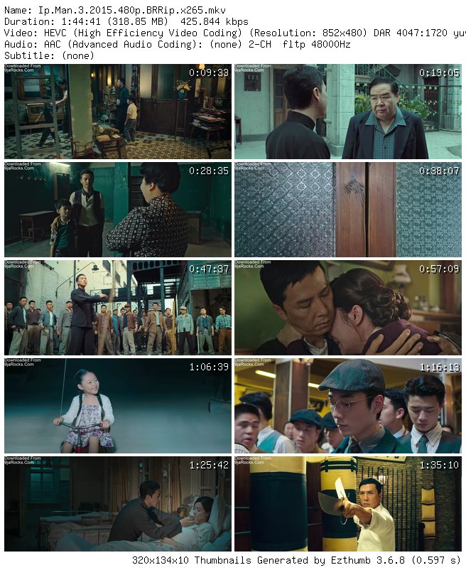 Ip Man 3 (2015)