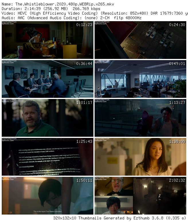 The Whistleblower (2019) - Chinese
