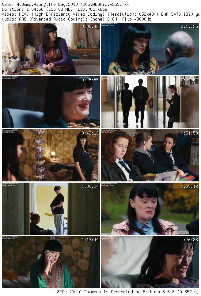 A Bump Along the Way (2019)