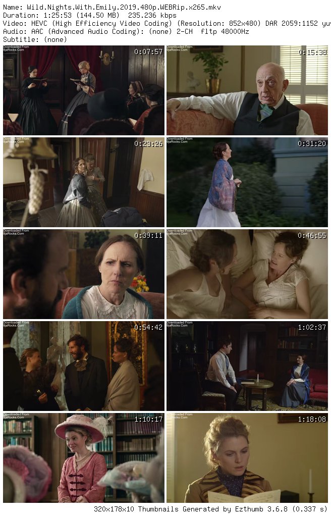 Wild Nights with Emily (2018)